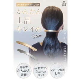 Barrette Hair Accessory with 2 Level Lock, Hair Ornament, Simple, Small, Everyday Use, Hair Clip (Silver)