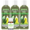 3 Shampoos Extracto De Sabila 500ml C/u + Aceite Bergamota