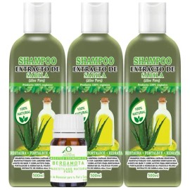 3 Shampoos Extracto De Sabila 500ml C/u + Aceite Bergamota
