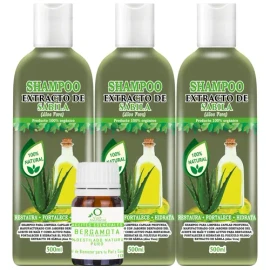 3 Shampoos Extracto De Sabila 500ml C/u + Aceite Bergamota