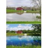 Sanco Crystal Blue Pond Colorant 1 Gal - Clears Muddy