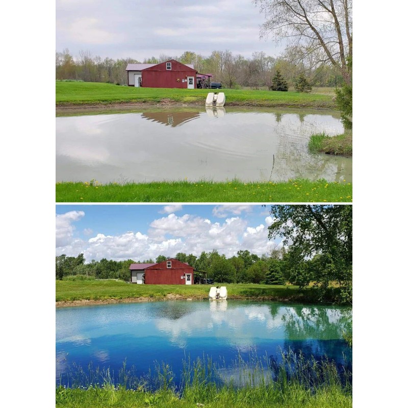 Sanco Crystal Blue Pond Colorant 1 Gal - Clears Muddy