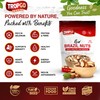 Tropgo Raw Brazil Nuts 500g - Packed Fresh, 100% Natural