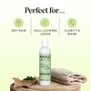 Maple Holistics Tea Tree Oil Conditioner + Color Safe Dandruff