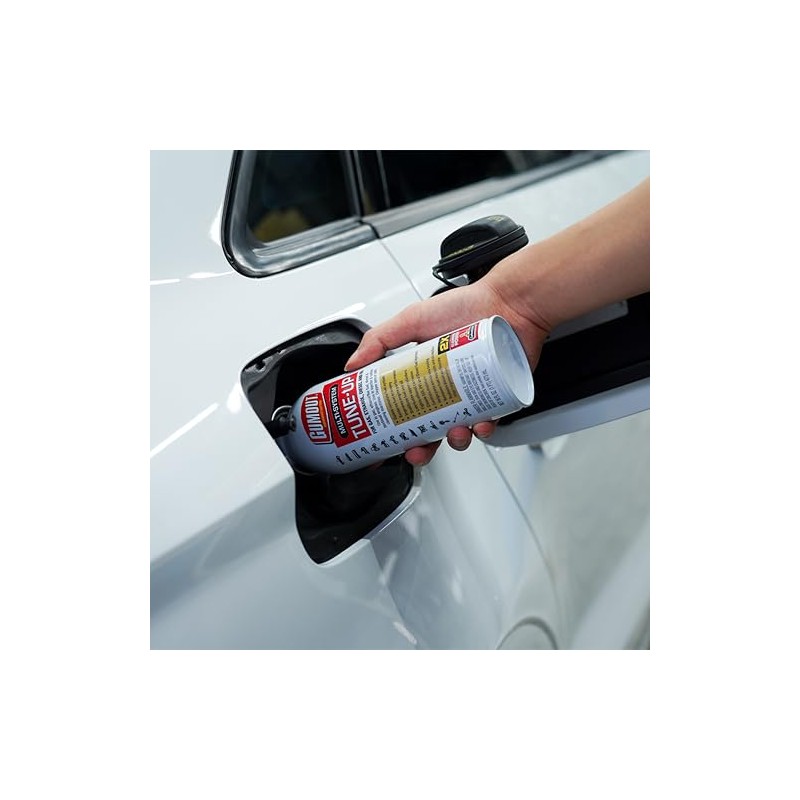 Gumout 510011 Multi-System Tune-Up, Fuel Stabilizer Injector Cleaner & Gas