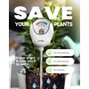 RAINPOINT Soil Moisture Meter for Plants - Accurate Plant Water