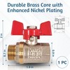 PipeSan Ball Valve 1/2 Inch Double Thread (Female/Male Thread) with