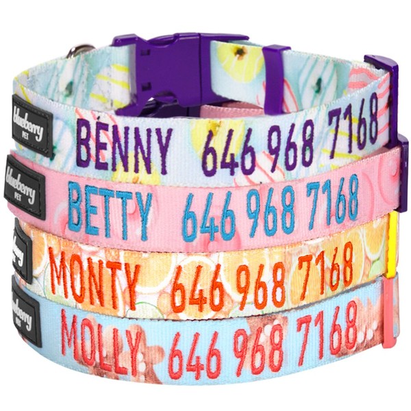 Blueberry Pet Personalized Dog Collar, Lemon, Medium, Adjustable Customized ID