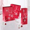 Sigel 17.5x23x10cm Wave Design Christmas Gift Bag (Pack of 3)