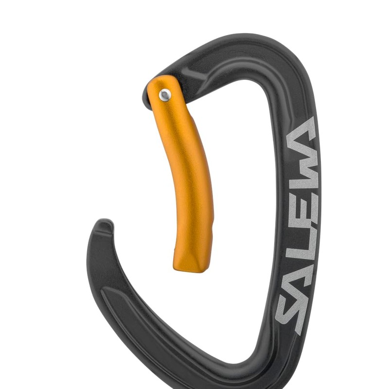 Salewa Ortles Carabiner Black