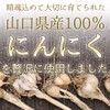 【山口県産にんにく×岡山県産のこだわり卵黄】毎日健康！「にんにく卵黄 サプリメント」 国内産自然農法ニンニク使用 自然養鶏の卵黄を贅沢に使用（約90日分 410mg×180粒）