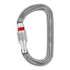 PETZL Am'D Screw Lock Carabiner Grey