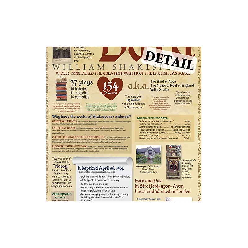 Teacher's Discovery Shakespeare Infographic Poster