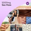 Nutravita 5000mg Sea Moss Tablets - 400 Irish Sea Moss