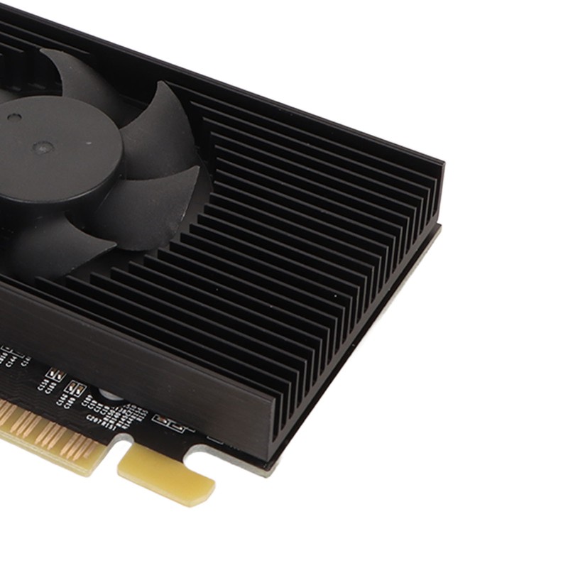Graphics Card GT610 2GB Independent 64 Bit with VGA DVI