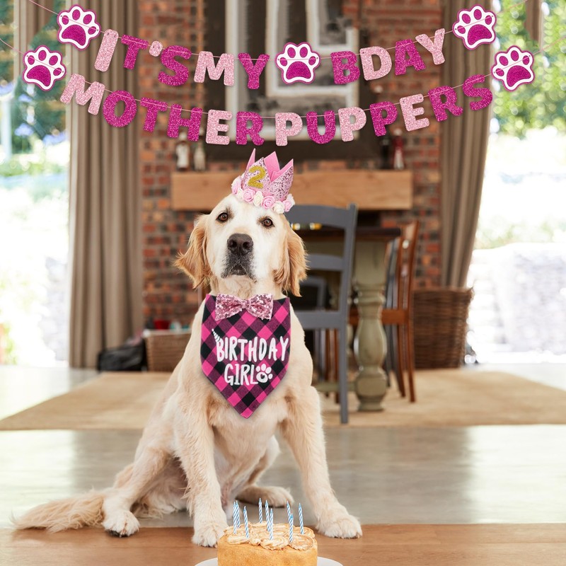 Dog Birthday Party Supplies Girl, Dog Birthday Bandana Hat Bow