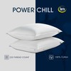 Serta 233 Thread Count White Goose Feather Medium Firm 100%