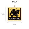 SunAge Keychain, Riding on Nori, Pictogram Funny Key Chain, Keyring,