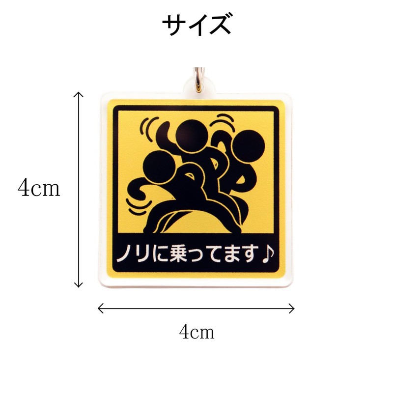 SunAge Keychain, Riding on Nori, Pictogram Funny Key Chain, Keyring,