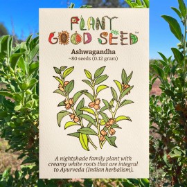 Plant Good Seed Ashwagandha Seeds, Certified Organic - Indian Ginseng Root - Withania somnifera