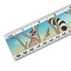 Ring-Tailed Cat 12 Inch Standard and Metric Plastic Ruler