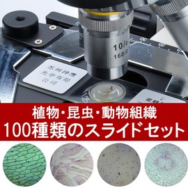 Phelimoa Preparat Animal and Plant Specimen Microscope, Biology, Science, Insects, Fungi, Micro World with Exclusive Box (Set of 100)