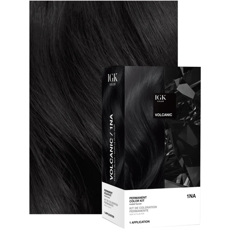 IGK Permanent Hair Dye Color Kit | 1NA Volcanic -