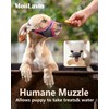 Dog Muzzle, Soft Mesh Muzzles for Small Dogs, Chihuahua Shih