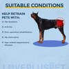 LISPOO Breathable Dog Hip Support Brace for Large Dogs, Adjustable