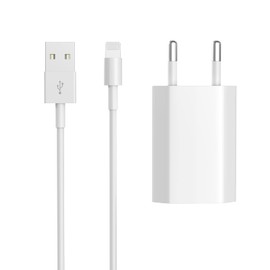 Newding Ladegerät für Phone 6, 7, 8, 10, 11, 12, SE, XR, XS, Plus, Pro, Mini, Max Telefon-Adapter, Anschluss mit USB-Kabel 5 V 1 A