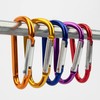 Temlum 10 Pieces Aluminum D Shape Carabiner Spring Carabiner Hook