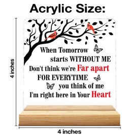 Sympathy Memorial Gifts for Loss of Loved One, Bereavement Remembrance Gifts for Loss of Father Mother Son Husband, When Tomorrow Starts Without Me Acrylic Plaque Sign with Wooden Stand Home Decor0613
