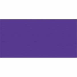 Design Master Colortool Spray Paint 12oz