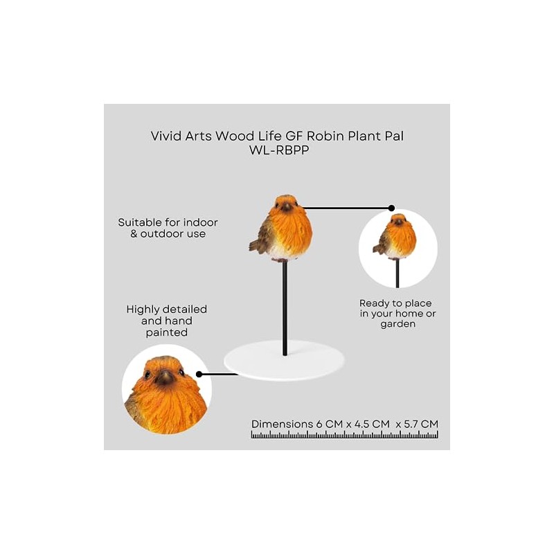 Vivid Arts Wood Life GF Robin Plant Pal - WL-RBPP