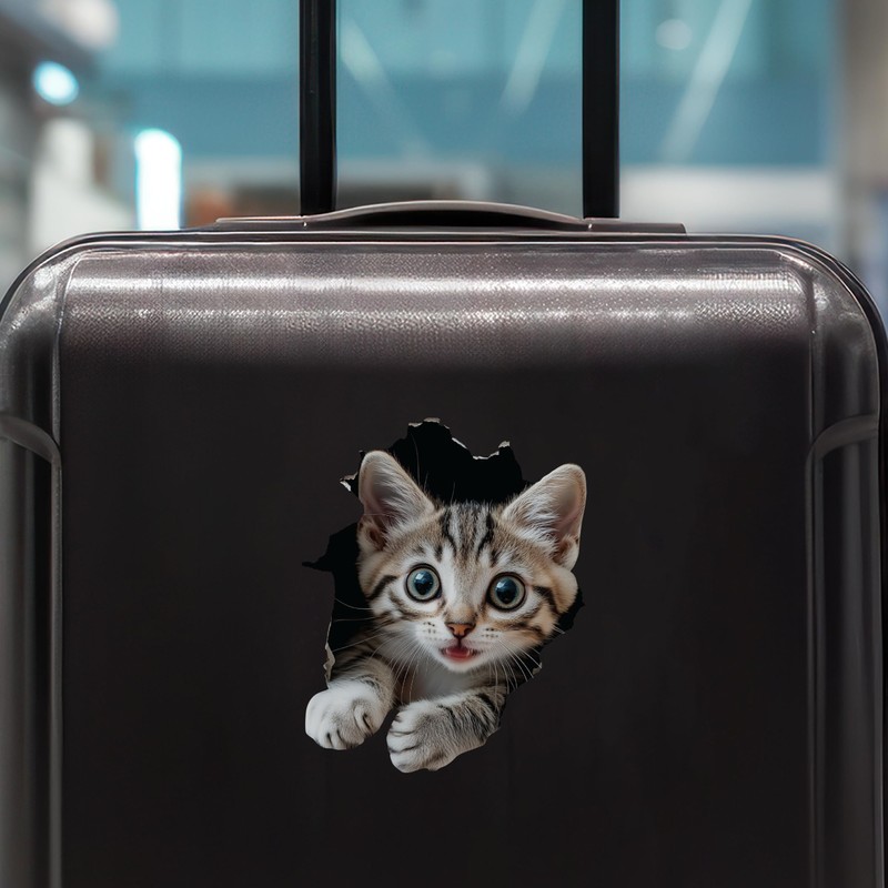 Tabby Cat Decal - Wall Hole Cat Sticker with 3D