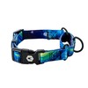 Wolfgang Heavy Duty Martingale Dog Collar with Quick Release Nylon
