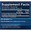 BODYTECH 100% Pure Creatine Monohydrate Powder - Micronized for Maximum