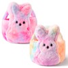 ARefugen 2Pcs Easter Fluffy Bunny Basket - Soft Plush Basket