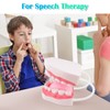 Ultrassist Mouth Model White Hinge for Speech Therapy, Ideal Brushing