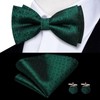 Dubulle Mens Clips Suspenders and Pretied Bowtie Set Y Shape