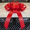 CarBowz Big Car Bow, Giant Bow, Non Scratch Magnet, Weather
