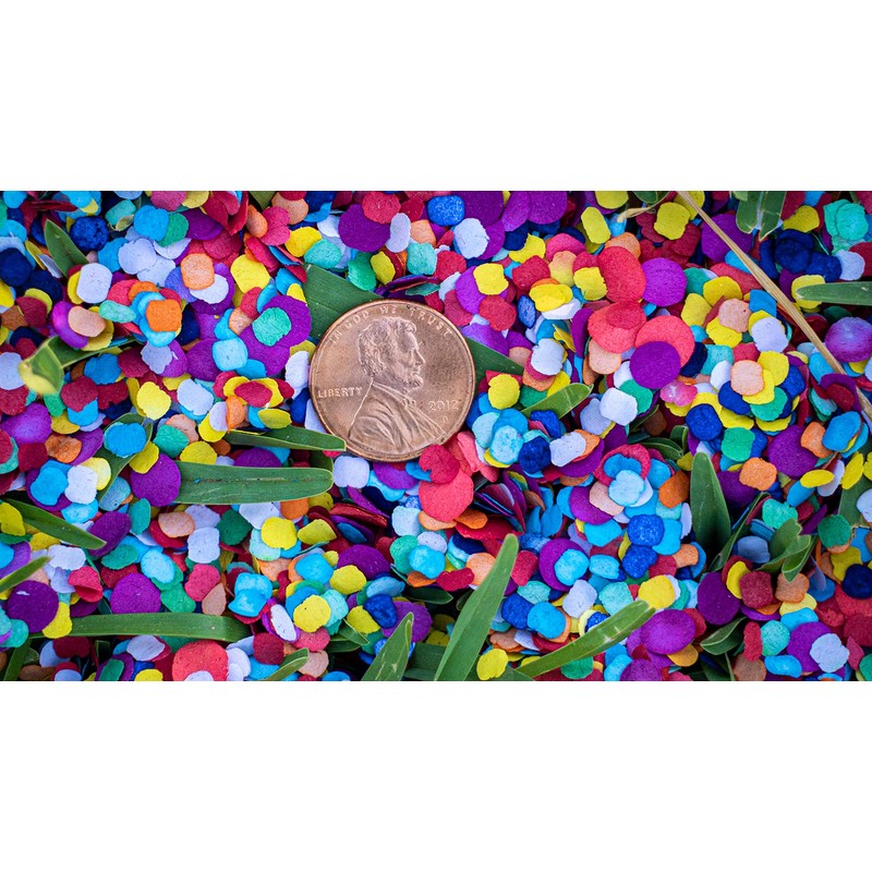 Fiesta Confetti.Value Mexican Colorful Paper Confetti. Jumbo Bag .95lb/425gr.
