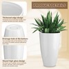RimCereal 2 Pack 20 Inch Tall Plastic Planters for Indoor