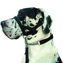 Kumfi Canine Kumfi Dogalter Size XL