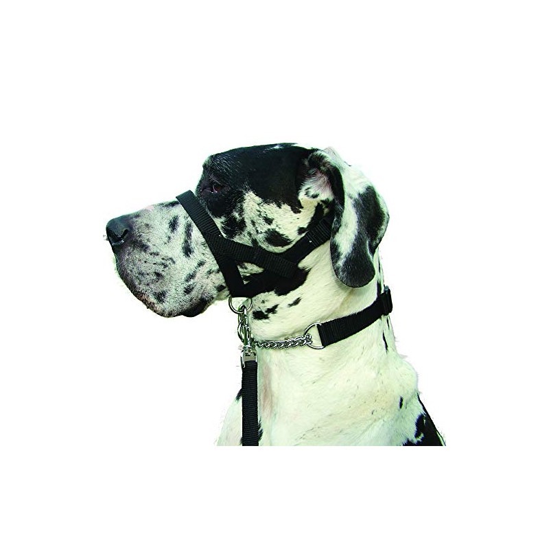 Kumfi Canine Kumfi Dogalter Size XL