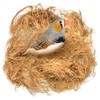 SunGrow Finch Coconut Fiber, Loose Bedding Substrate for Birds Nest