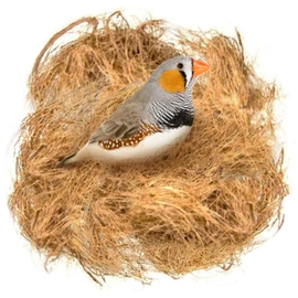 SunGrow Finch Coconut Fiber, Loose Bedding Substrate for Birds Nest Cages, Nesting Material for Budgie Hummingbird Canary Parakeet, 3 oz