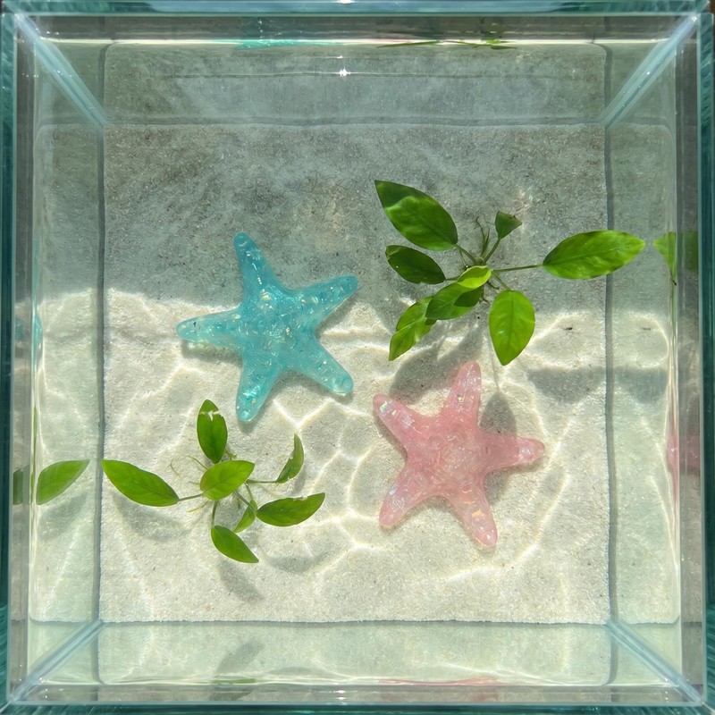 Fruobeyla Starfish Decor for Aquarium, 2-Pack Pink & Blue Fish