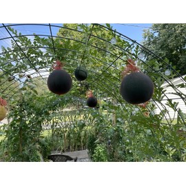 100 Pack Watermelon Nets,Hanging Watermelon Support Nets,Reusable Melon Hammocks Cradles Fruit Melon Net Bag for Watermelon, Honeydew Melon, Cucumbers (100pcs)