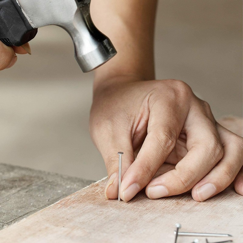 TERF® High Quality Bright Round Wire Nails 50mm (2 inch)